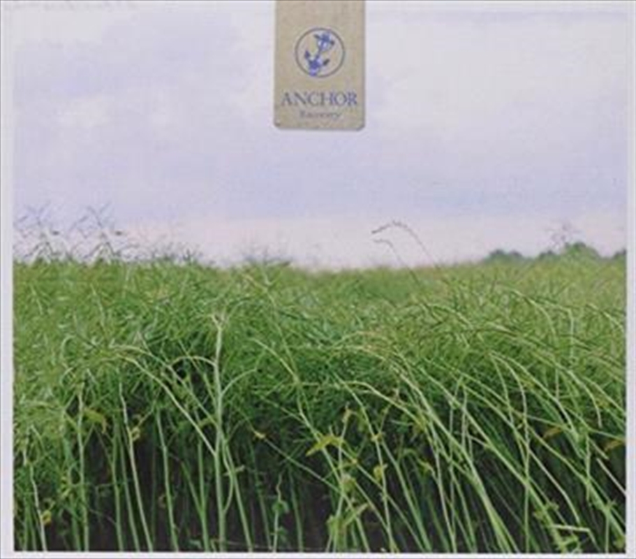 Recovery/Product Detail/Hard Rock