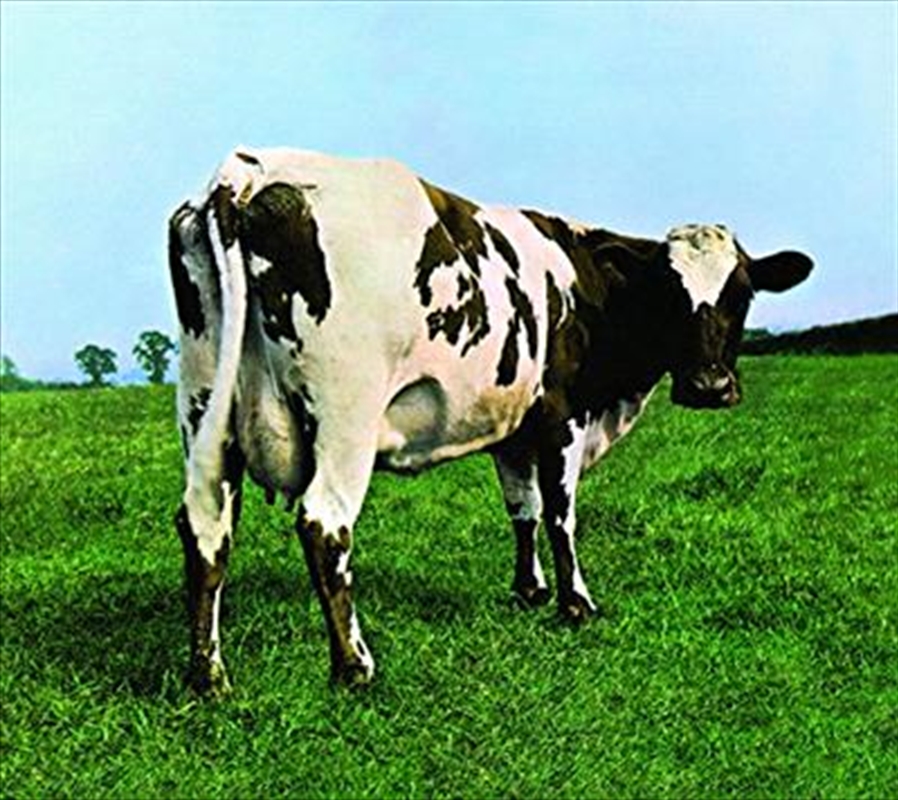Atom Heart Mother/Product Detail/Rock/Pop