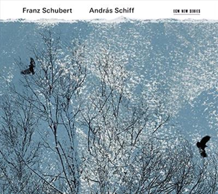 Schubert- Piano Sonatas; Moments Musicaux; Impromptus/Product Detail/Classical