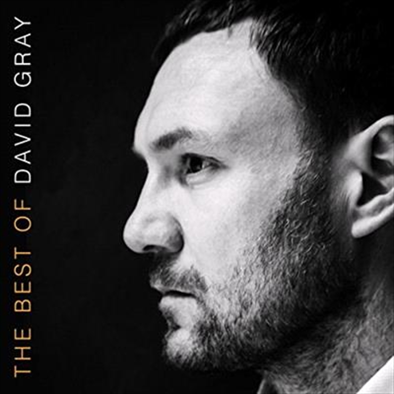 Best Of David Gray, The/Product Detail/Pop