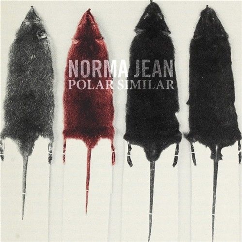 Polar Similar/Product Detail/Rock