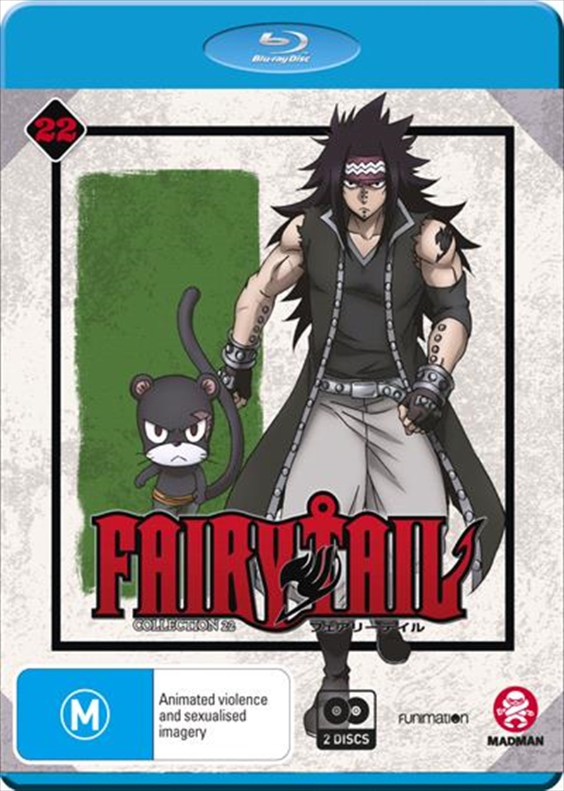 Fairy Tail - Collection 22 - Eps 253-265/Product Detail/Anime