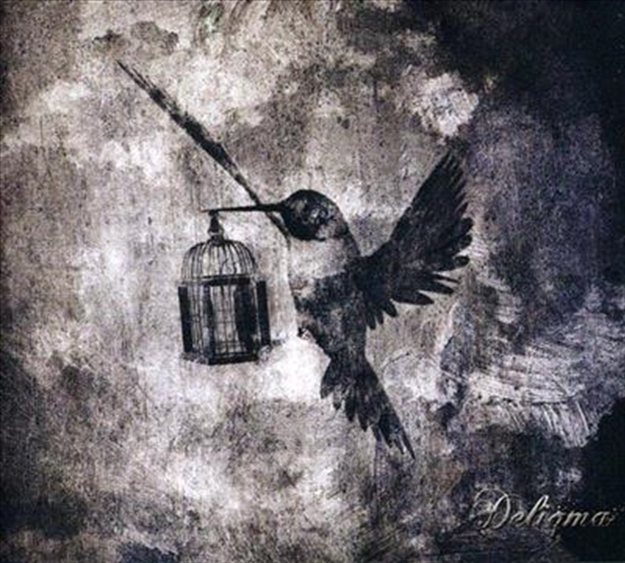 Forever Faded/Product Detail/Dance