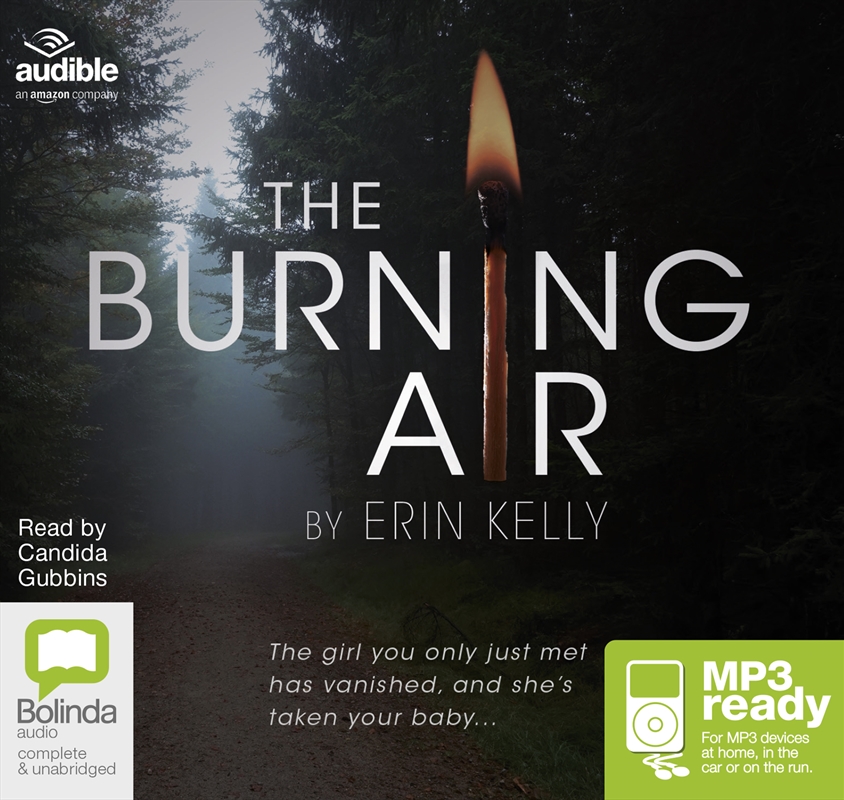 The Burning Air/Product Detail/Crime & Mystery Fiction