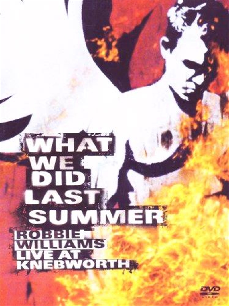 What We Did Last Summer 2003/Product Detail/Visual