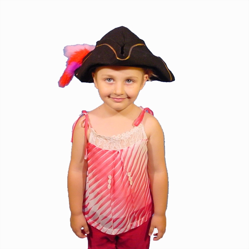 Captain Feathersword Hat/Product Detail/Action Figures & Dolls