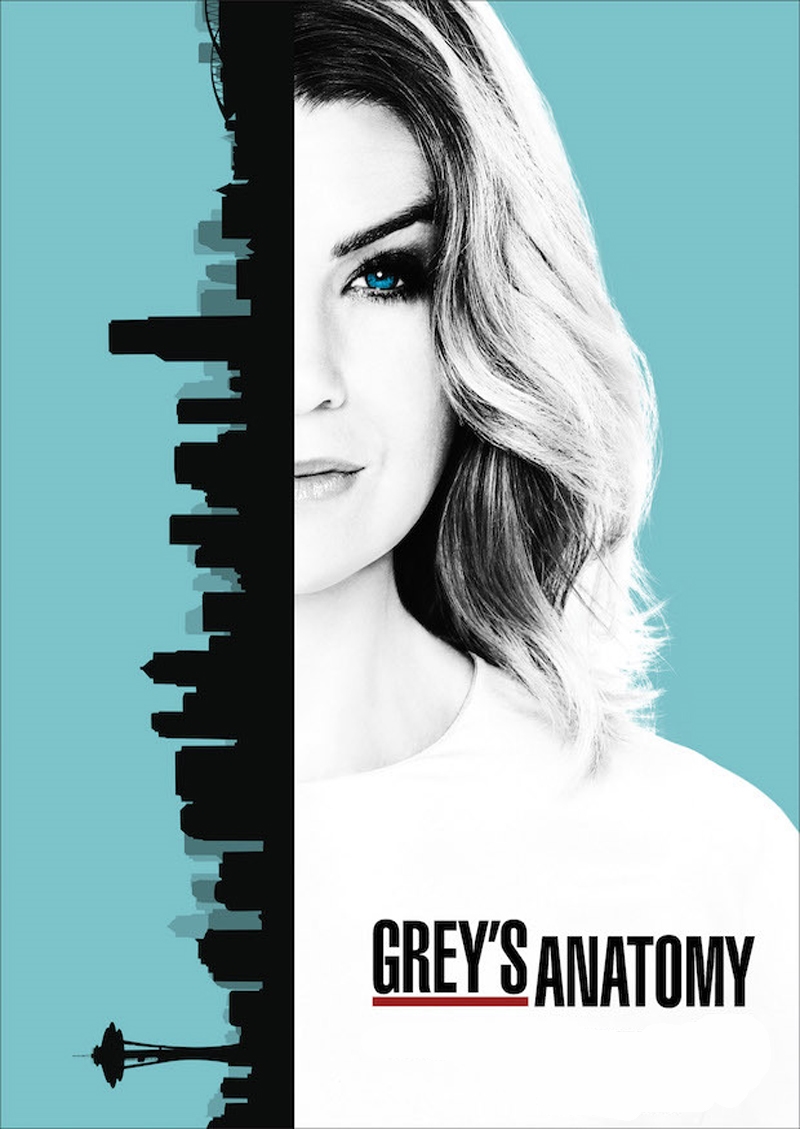 Grey's Anatomy - Season 13/Product Detail/Future Release