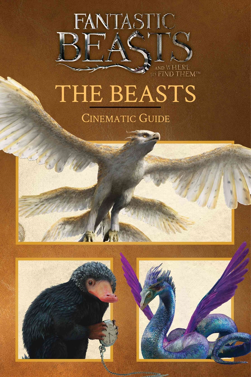 Fantastic Beasts and Where to Find Them: Cinematic Guide: The Beasts/Product Detail/Childrens