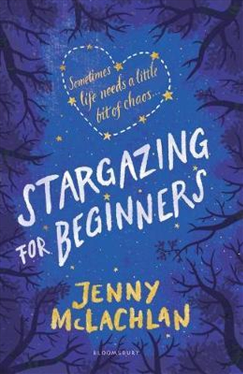 Stargazing for Beginners/Product Detail/Childrens Fiction Books