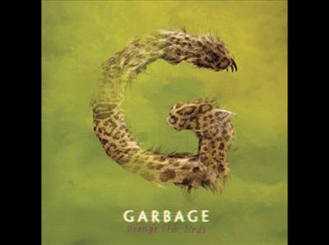 Strange Little Birds/Product Detail/Alternative