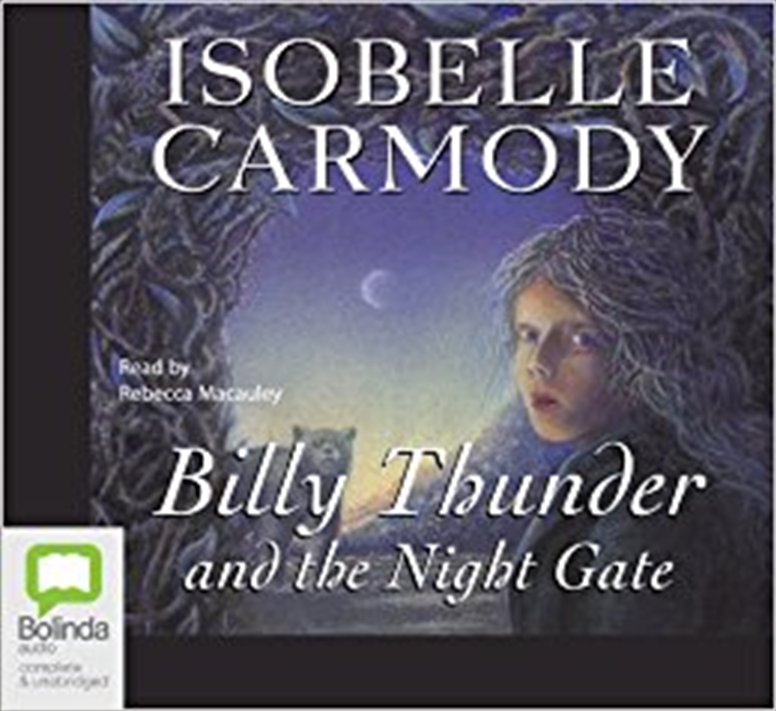 Billy Thunder and the Night Gate/Product Detail/Childrens Fiction Books
