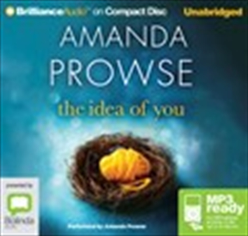 The Idea Of You/Product Detail/Thrillers & Horror Books