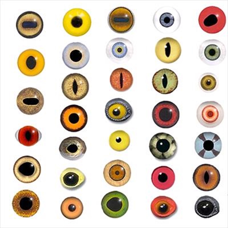 When Animals Stare/Product Detail/Dance