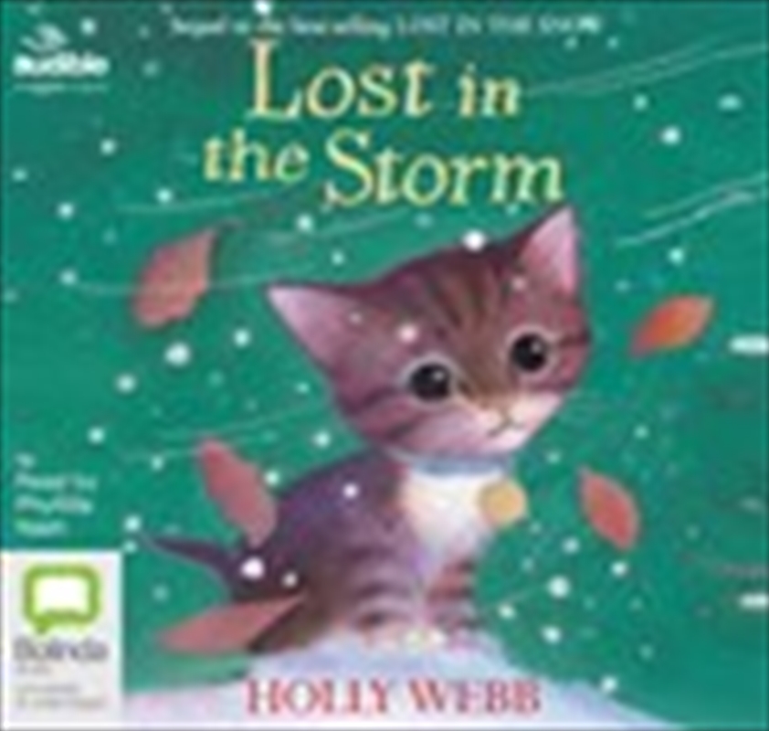 Lost in the Storm/Product Detail/General Fiction Books
