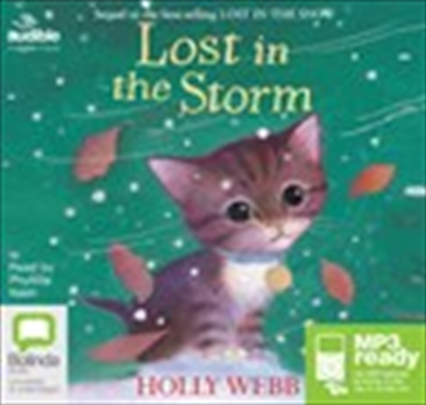Lost in the Storm/Product Detail/General Fiction Books