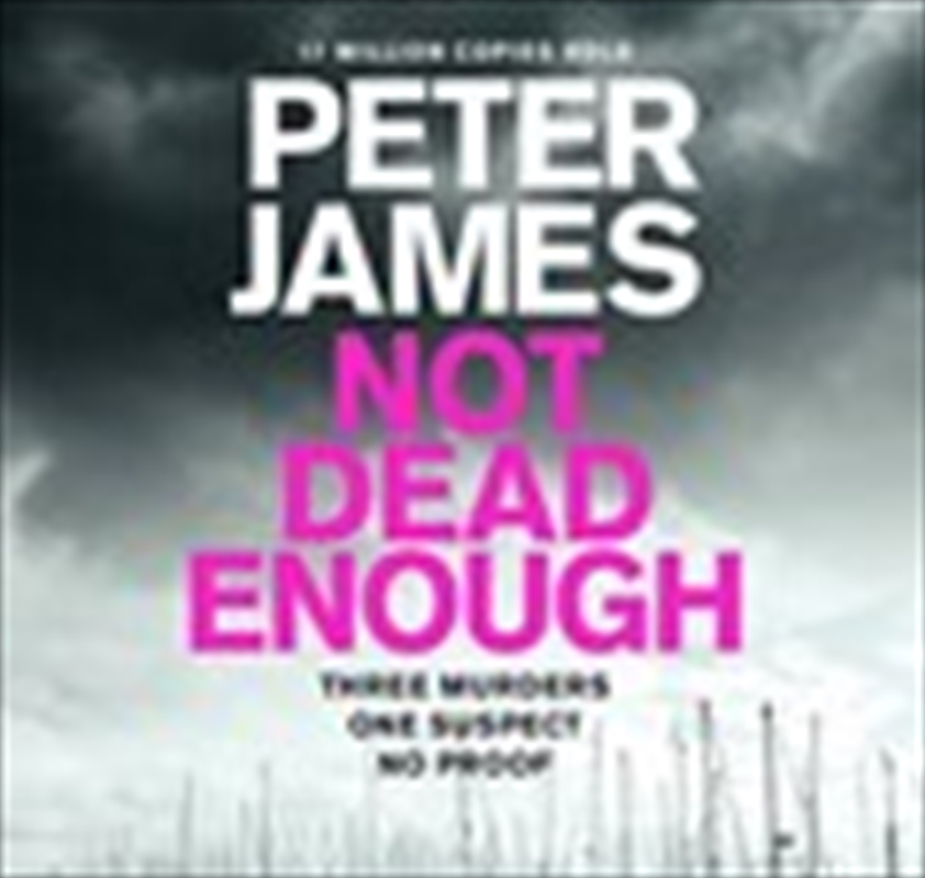 Not Dead Enough/Product Detail/Crime & Mystery Fiction
