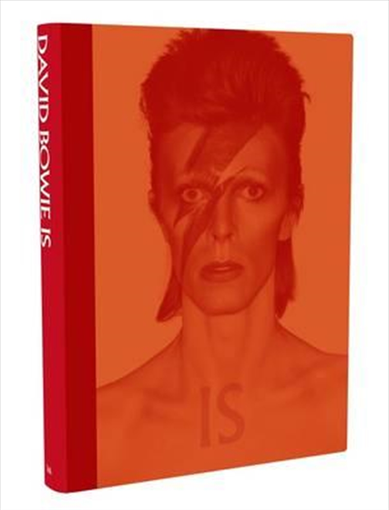 David Bowie Is/Product Detail/Arts & Entertainment Biographies