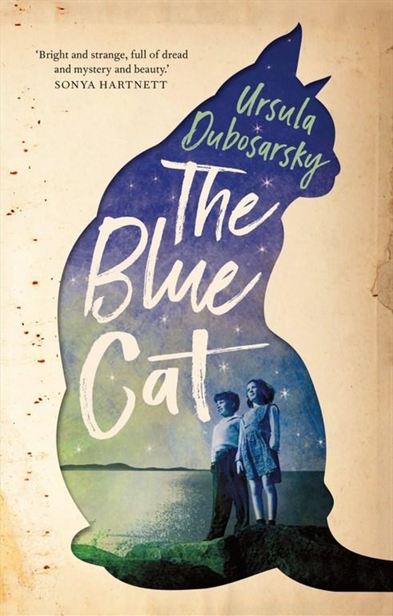 Blue Cat/Product Detail/Childrens
