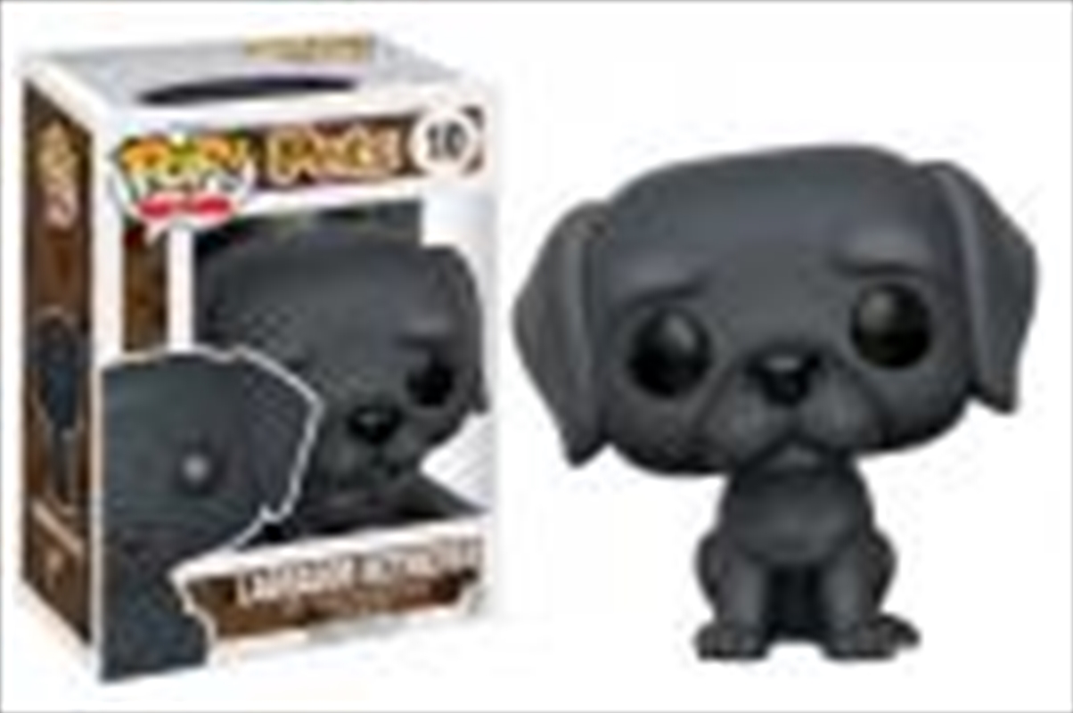 Labrador Retriever Black/Product Detail/Standard Pop Vinyl