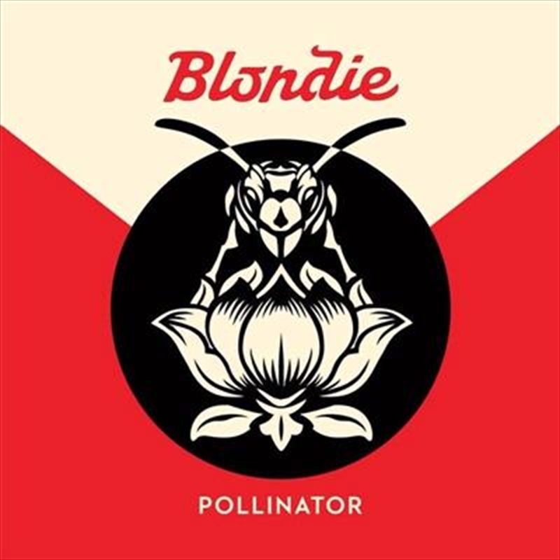 Pollinator/Product Detail/Rock