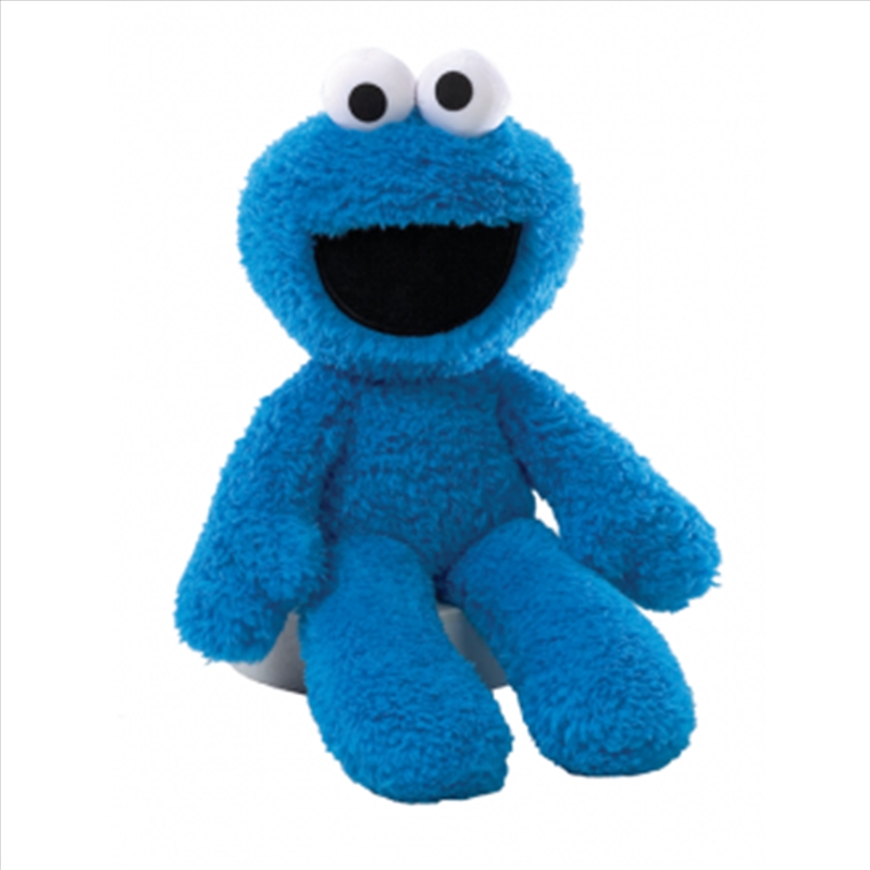 Cookie Monster Plush 26cm/Product Detail/Plush Toys
