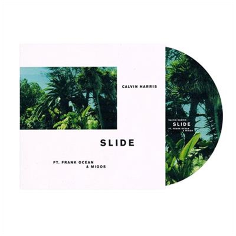 Slide (Picture Disc)/Product Detail/Dance