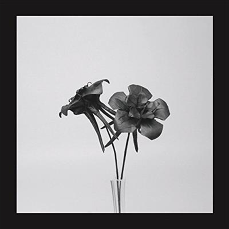 Dark Lotus/Product Detail/Dance