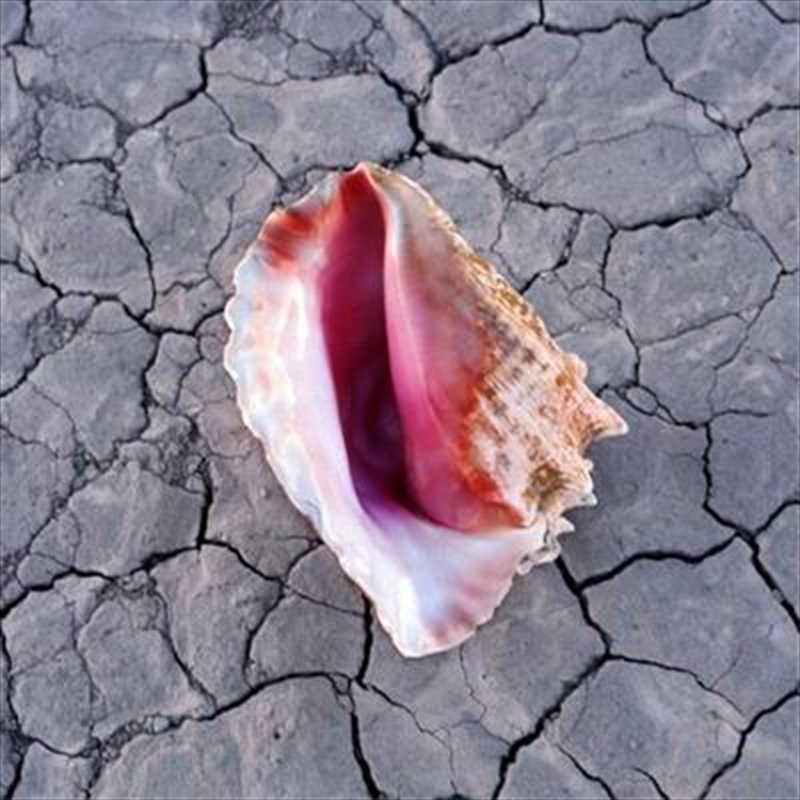 Wonderful Wonderful/Product Detail/Rock