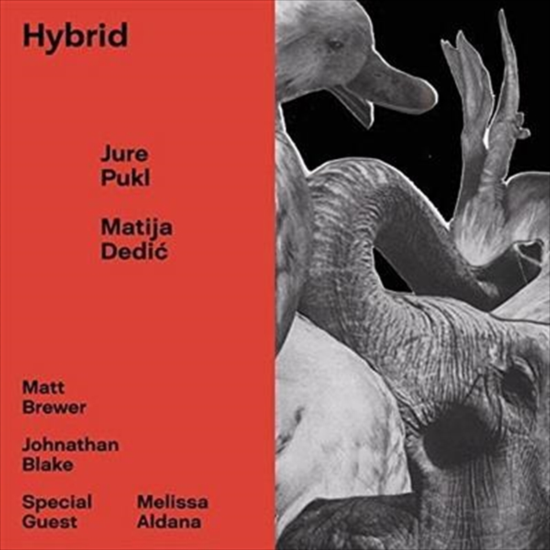 Hybrid/Product Detail/Jazz