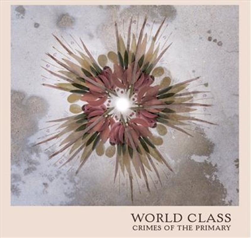 World Class/Product Detail/Alternative