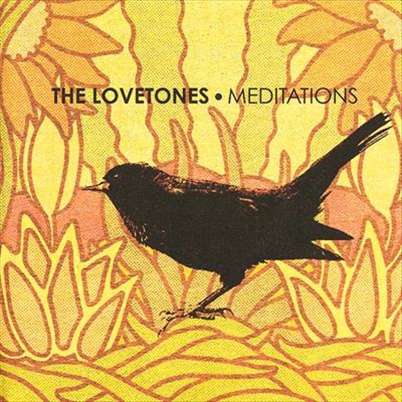 Meditations/Product Detail/Rock/Pop