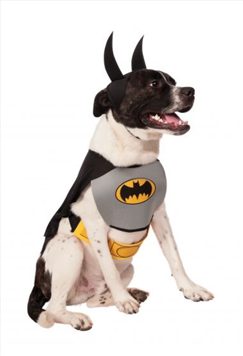 Batman Classic L/Product Detail/Pet Accessories