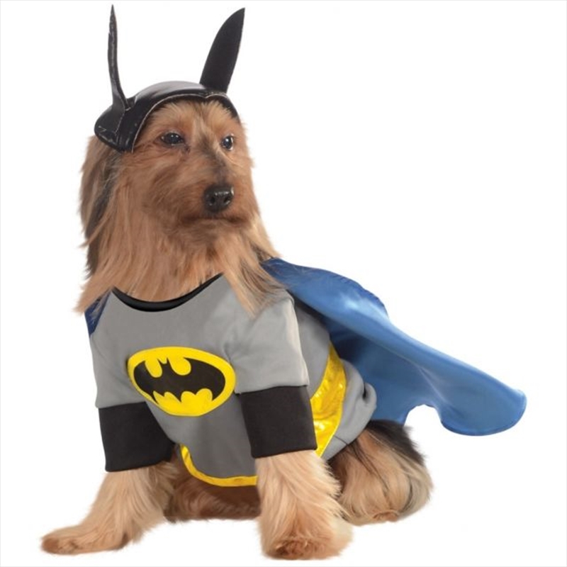 Batman Deluxe M/Product Detail/Pet Accessories