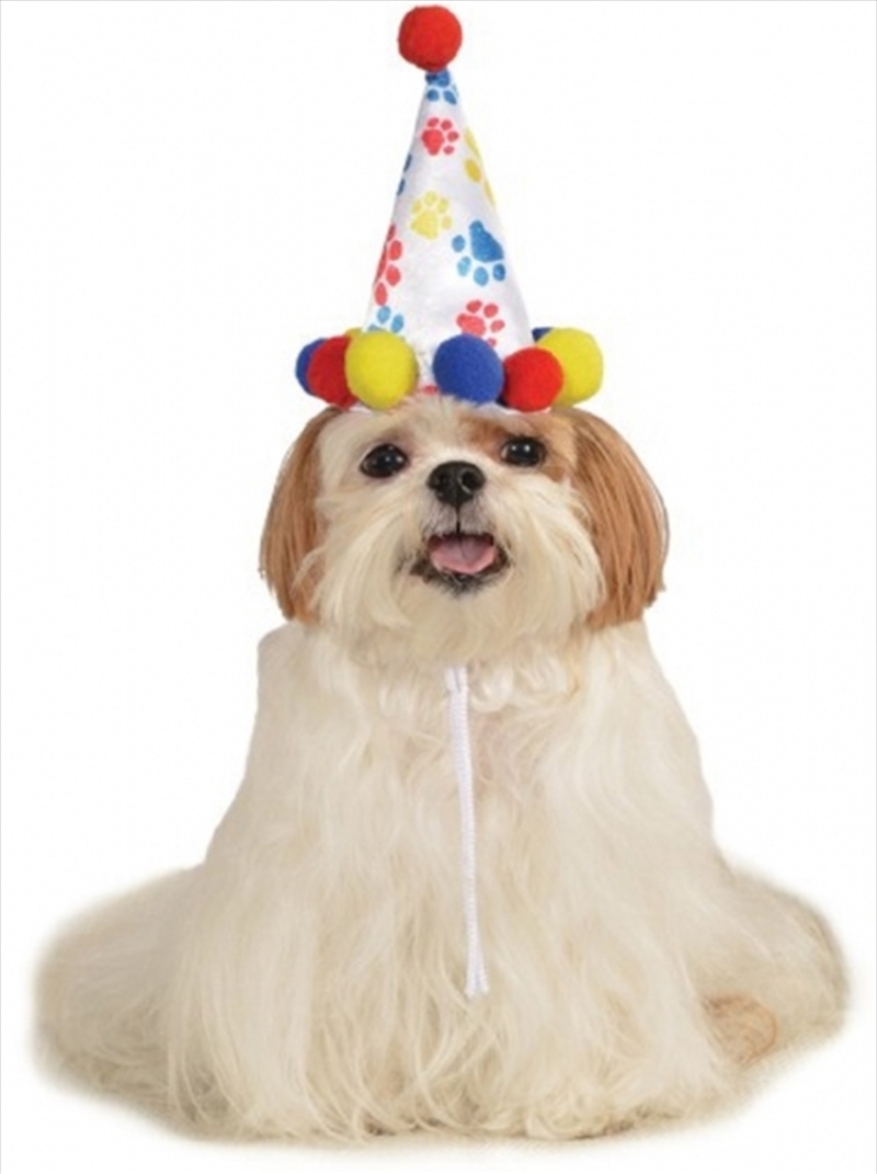 Boy Birthday Hat S-M/Product Detail/Pet Accessories
