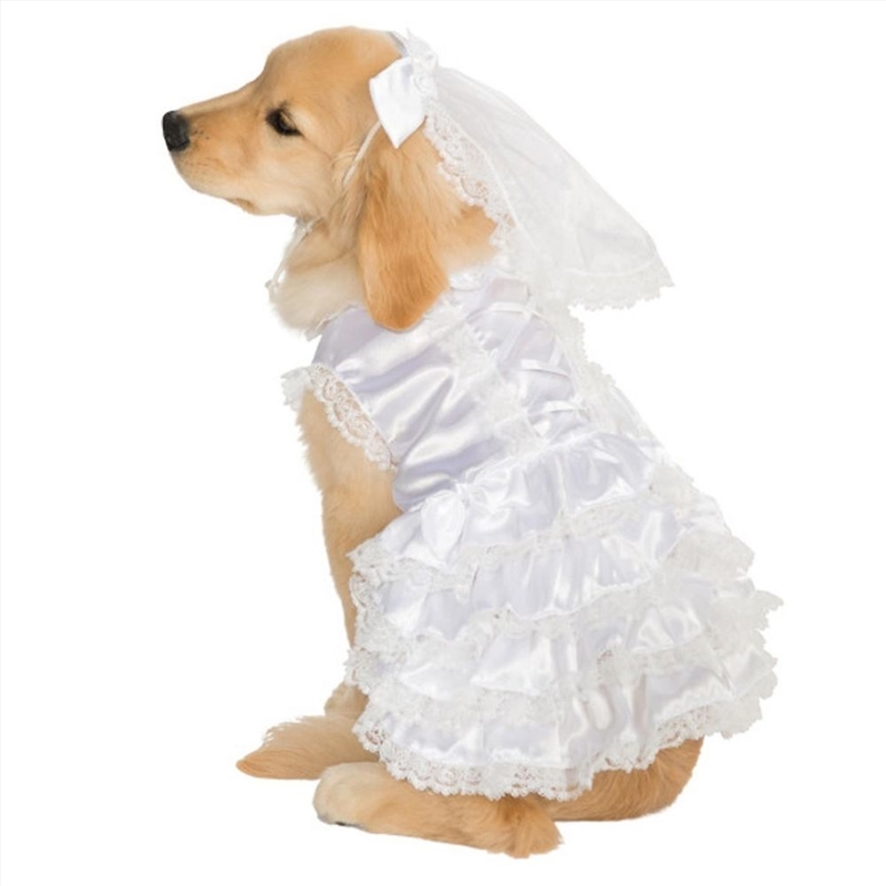 Bride L/Product Detail/Pet Accessories