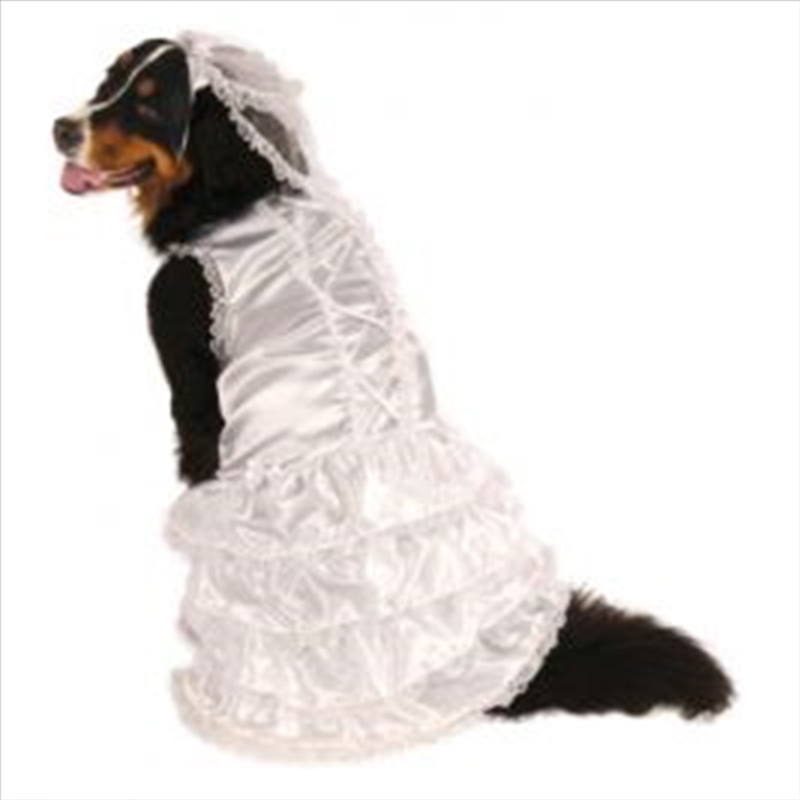 Bride Xxxl/Product Detail/Pet Accessories