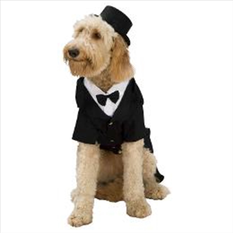 Dapper L/Product Detail/Pet Accessories