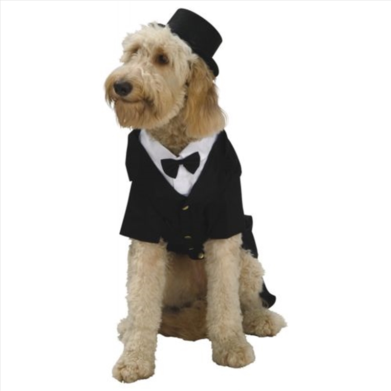 Dapper S/Product Detail/Pet Accessories