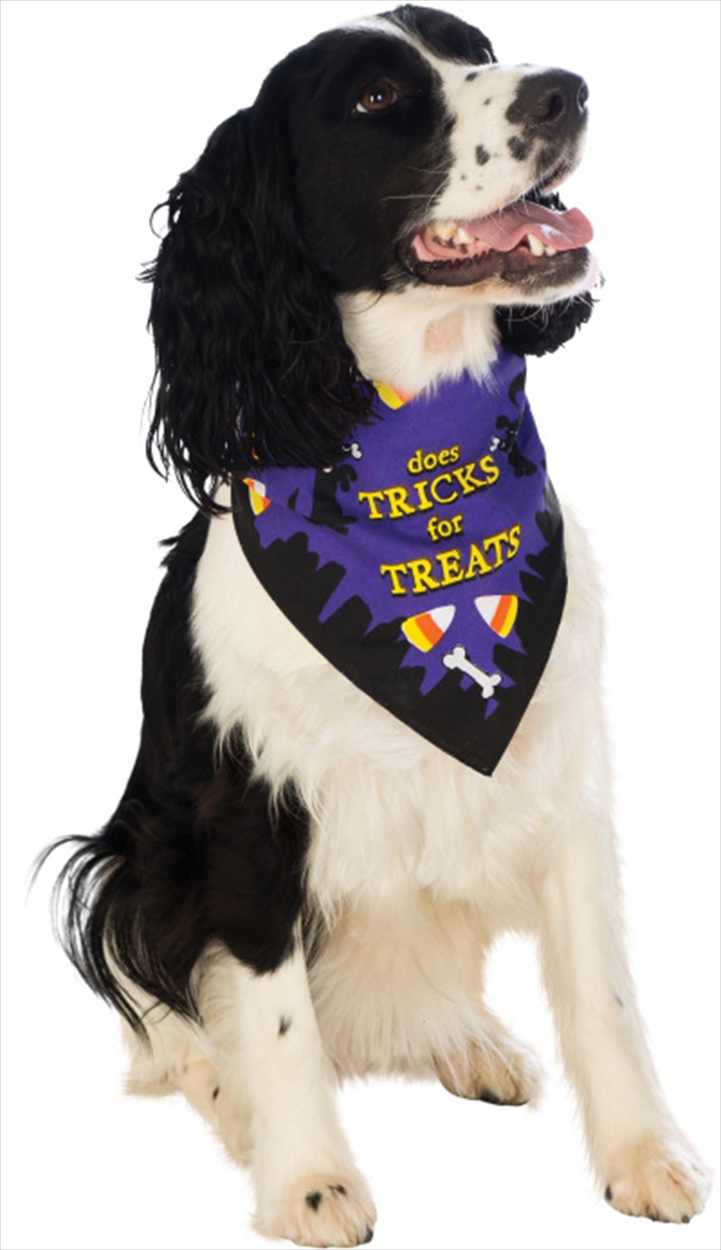 Does Tricks For Treats S-M/Product Detail/Pet Accessories