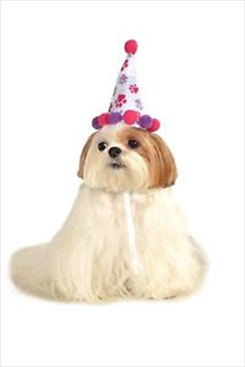 Girl Birthday Hat M-L/Product Detail/Pet Accessories