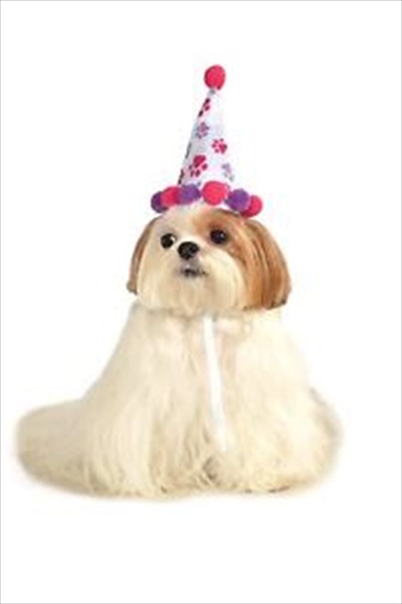 Girl Birthday Hat S-M/Product Detail/Pet Accessories