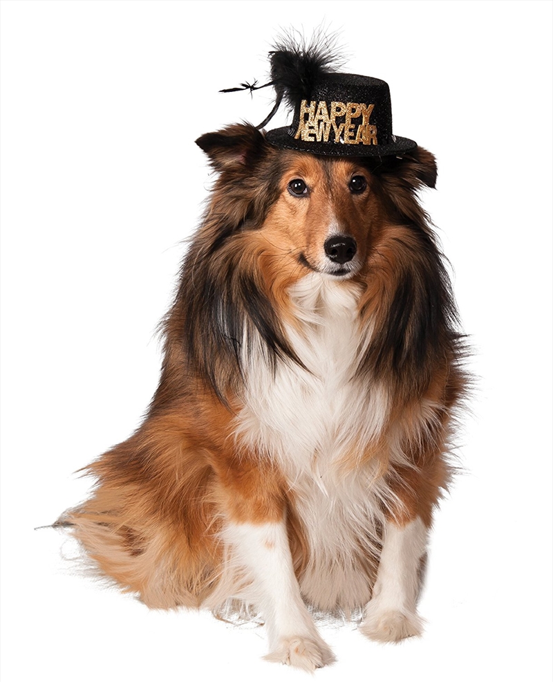 Happy New Year Hat M-L/Product Detail/Pet Accessories