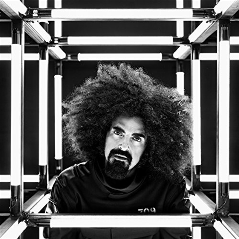 Prisoner 709/Product Detail/Hip-Hop