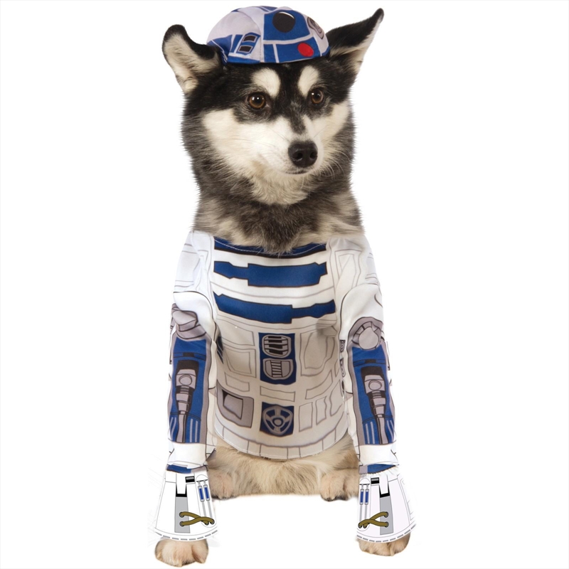 R2D2 Xl/Product Detail/Pet Accessories