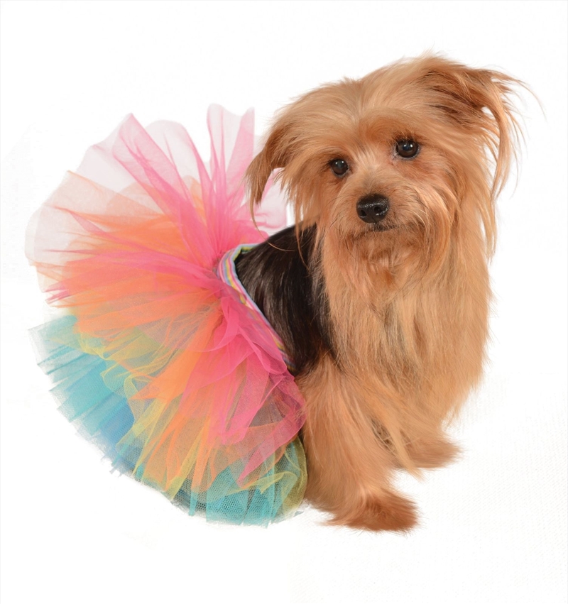 Rainbow Tutu M-L/Product Detail/Pet Accessories