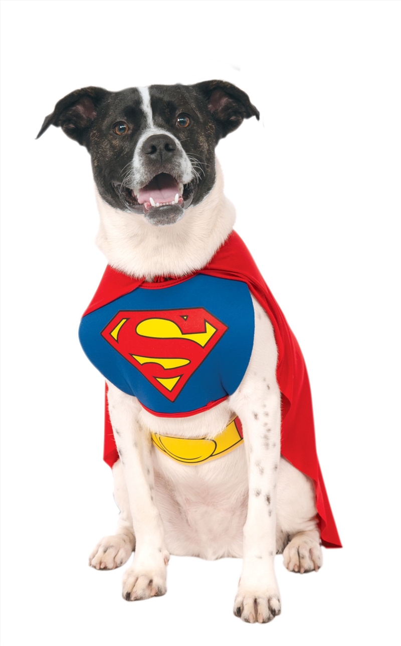 Superman Classic L/Product Detail/Pet Accessories