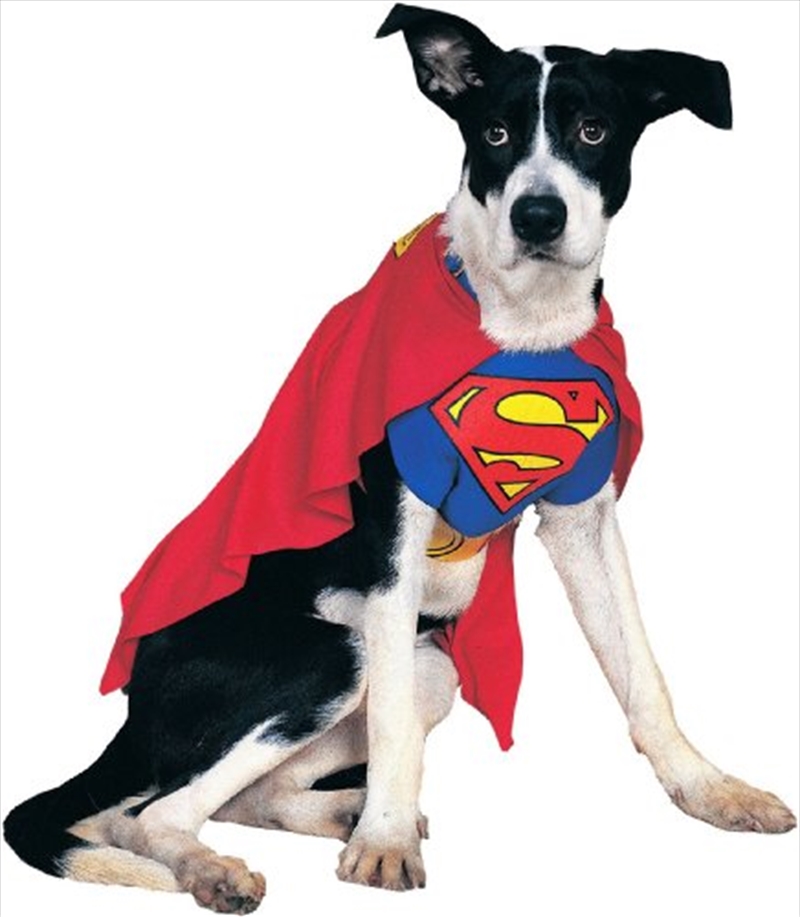 Superman Classic M/Product Detail/Pet Accessories