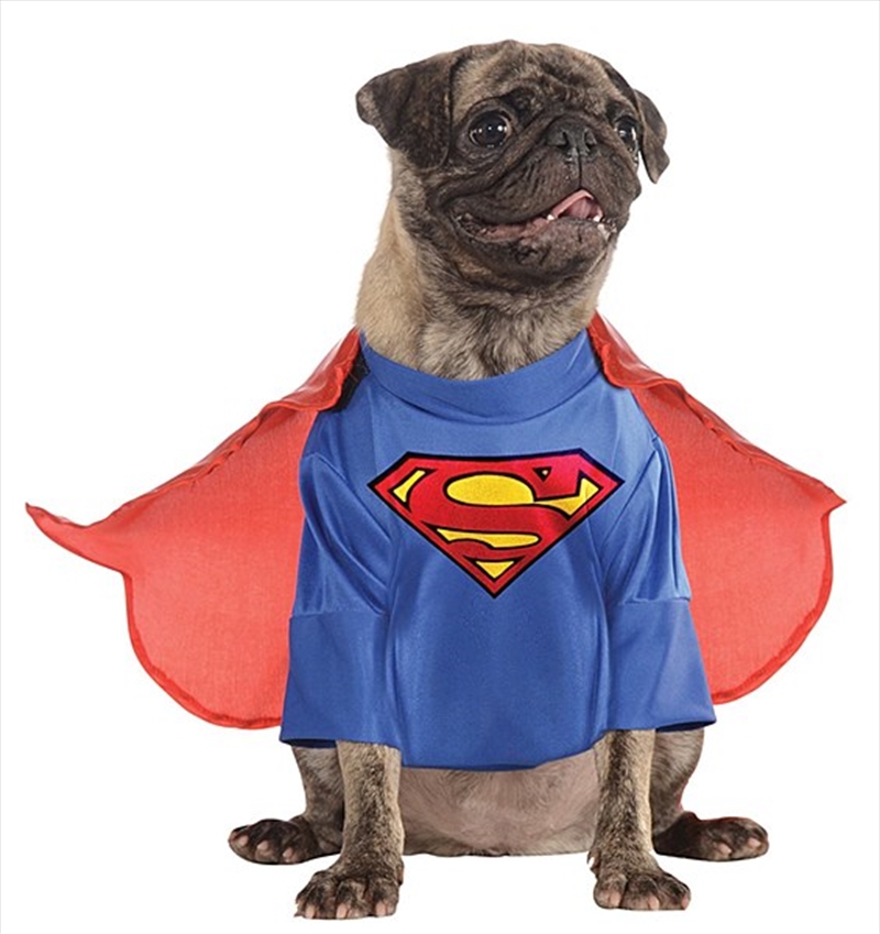 Superman Deluxe S/Product Detail/Pet Accessories