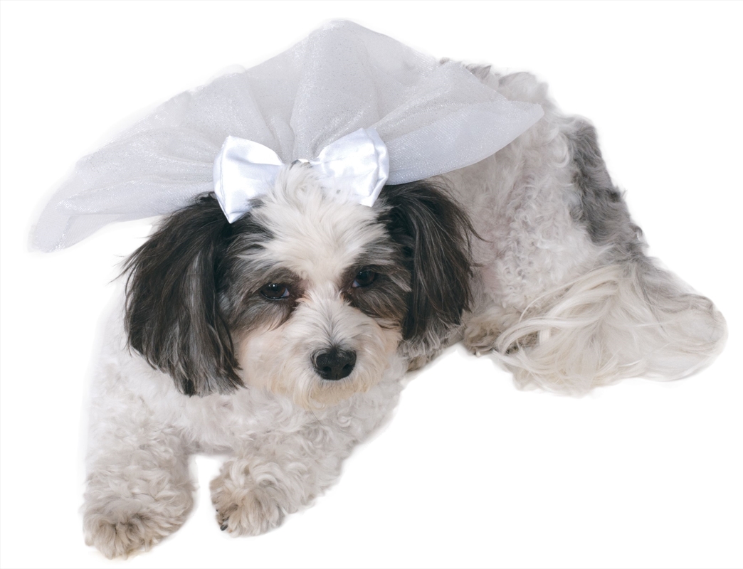 Wedding Veil S-M/Product Detail/Pet Accessories