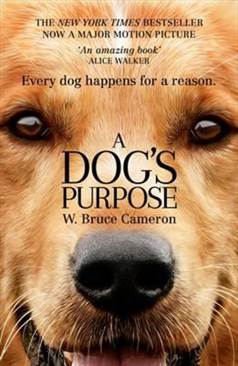 A Dogs Purpose/Product Detail/General Fiction Books